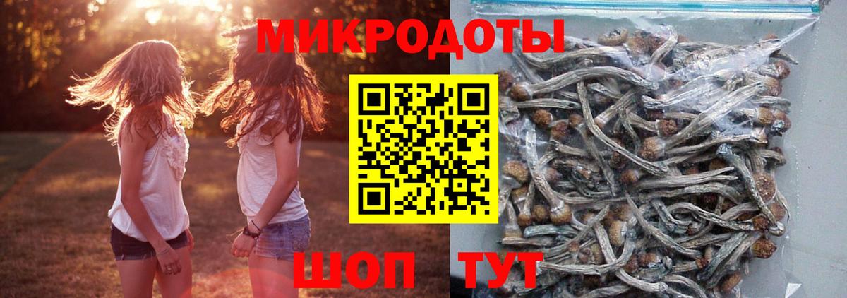 Кумертау  Псилоцибиновые грибы MAGIC MUSHROOMS  Вход с VPN 